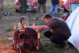 Thumbs/tn_Beautiful Budel 2016 026.jpg